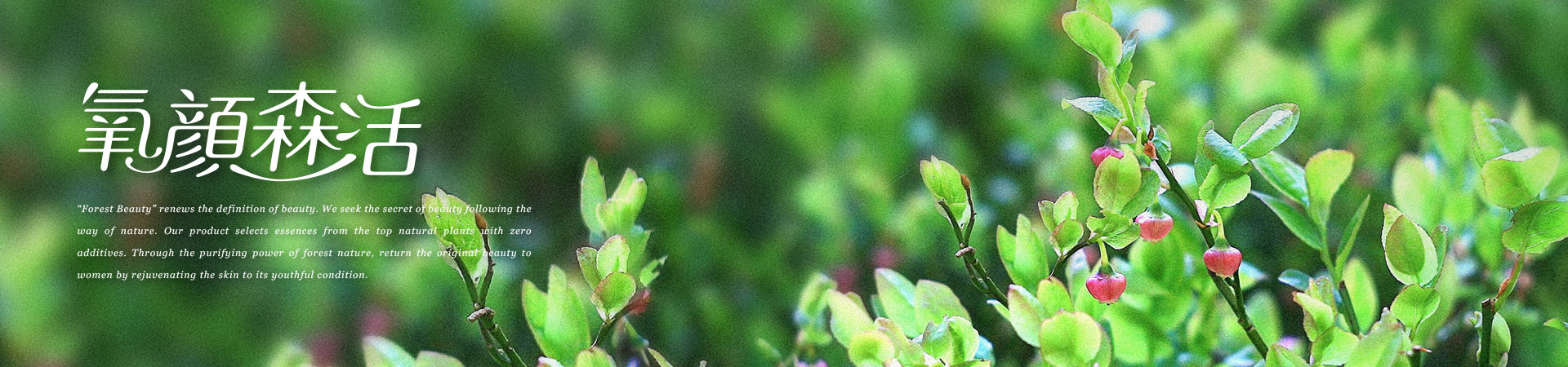 包裝設計-森林級保養力 氧顏森活 包裝設計-森林級保養力