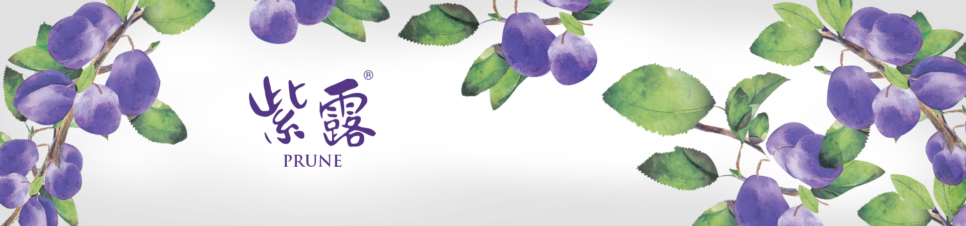 紫露PRUNE 包裝設計-最新纖的水果保健食品